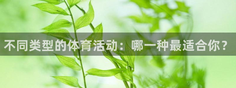 尊龙官方正版app官方：不同类型的体育活动：哪一种最