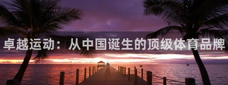尊龙官方正版app集团logo：卓越运动：从中国诞生