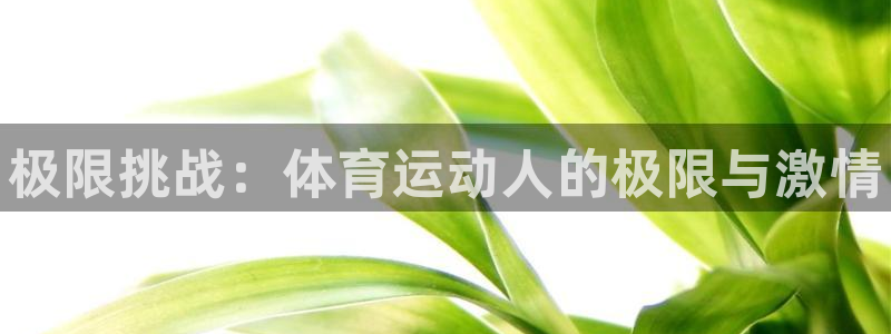 尊龙官方正版app娱乐首页网站大全：极限挑战：体育运