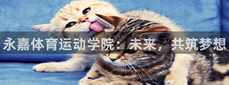 尊龙官网下载平台是正规平台吗安全吗：永嘉体育运动学院