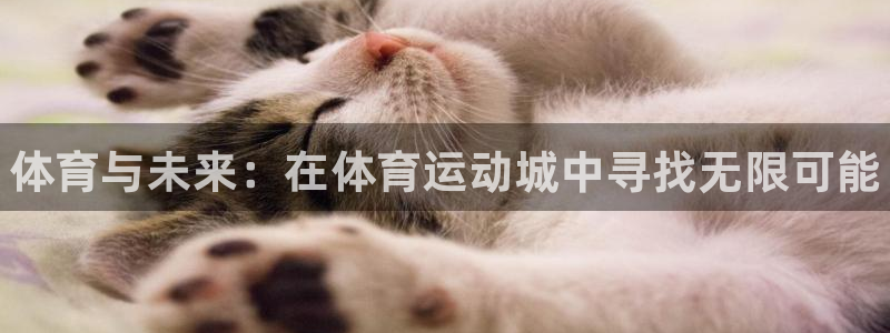 尊龙官方正版app娱乐网站：体育与未来：在体育运动城
