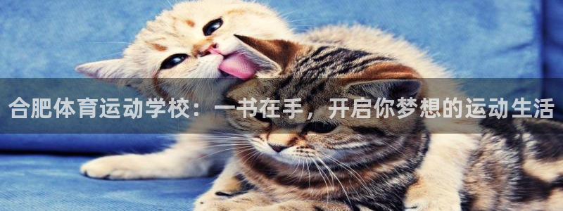 尊龙官方正版app开户：合肥体育运动学校：一书在手，