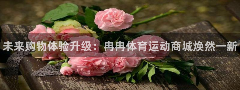 尊龙官方正版app集团官网网址：未来购物体验升级：冉