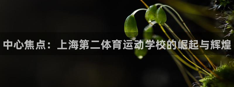 尊龙官方正版app神州：中心焦点：上海第二体育运动学
