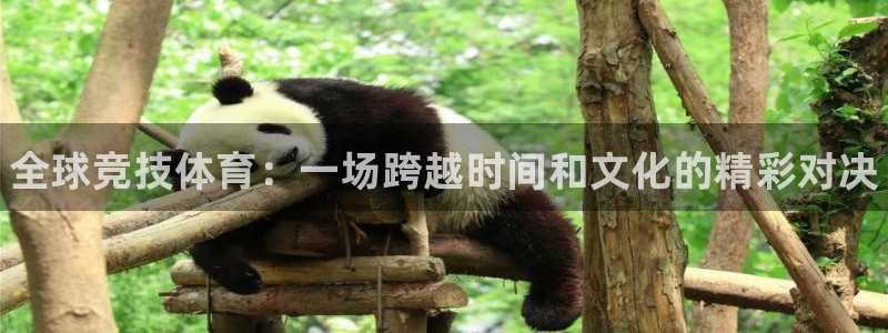 尊龙官网下载平台注册流程视频：全球竞技体育：一场跨越
