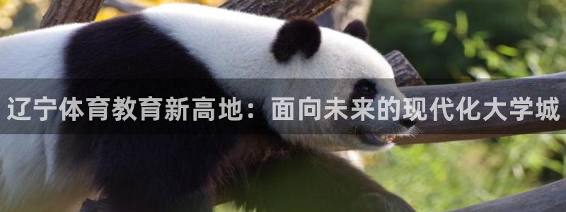 尊龙官网下载招商电话号码查询：辽宁体育教育新高地：面