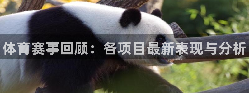 尊龙官网下载官方客服电话：体育赛事回顾：各项目最新表