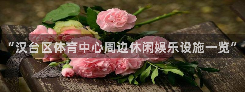 尊龙官方正版app娱乐首页网站大全：“汉台区体育中心