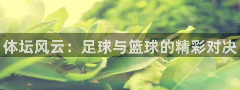 尊龙官方正版app集团：体坛风云：足球与篮球的精彩对