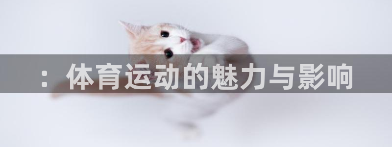 尊龙官网下载平台是正规平台吗安全吗
