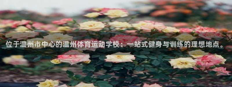 尊龙官网下载招商电话是多少号码：位于温州市中心的温州体育运动