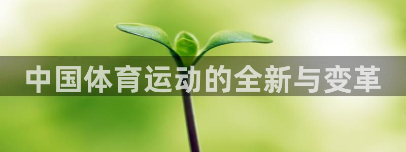 尊龙官网下载是干嘛的公司：中国体育运动的全新与变革