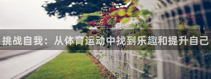 尊龙官方正版app集团E.ON：挑战自我：从体育运动中找到乐