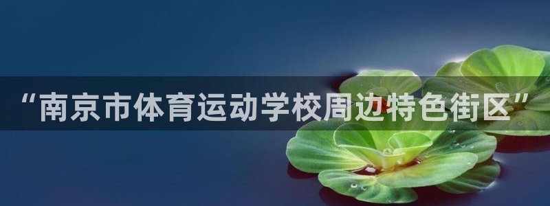 尊龙官网下载招商电话地址查询：“南京市体育运动学校周