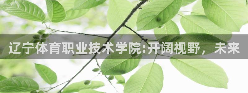 尊龙官方正版app娱乐网站：辽宁体育职业技术学院:开