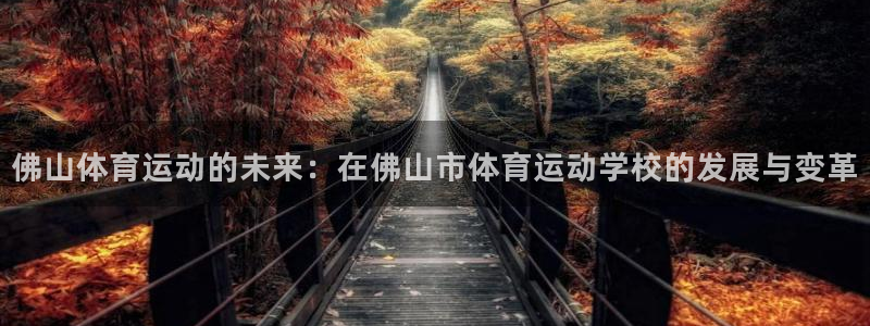 尊龙官网下载平台是正规平台吗：佛山体育运动的未来：在