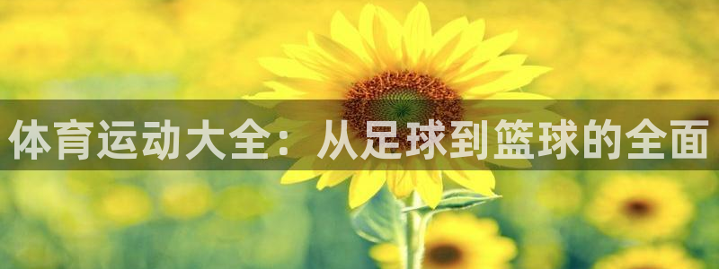 尊龙官网下载是干嘛的公司：体育运动大全：从足球到篮球