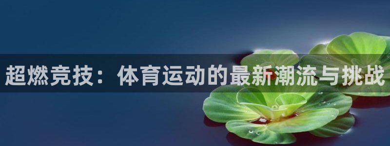 尊龙官方正版app集团官网网址：超燃竞技：体育运动的