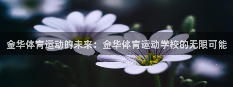 尊龙官方正版app娱乐代理怎么样：金华体育运动的未来
