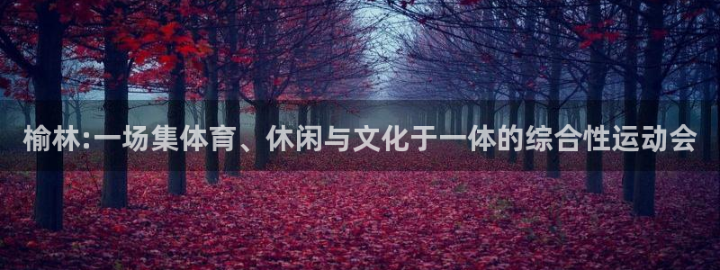 尊龙官网下载平台假的吗是真的吗：榆林:一场集体育、休