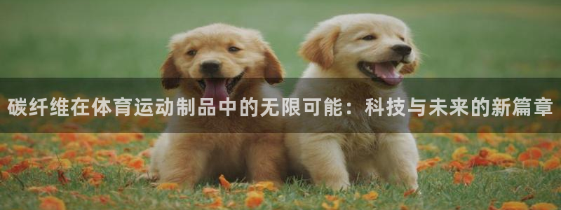 尊龙官方正版app娱乐40996