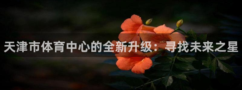 尊龙官方正版app娱乐是那个系列的台子：天津市体育中心的全新