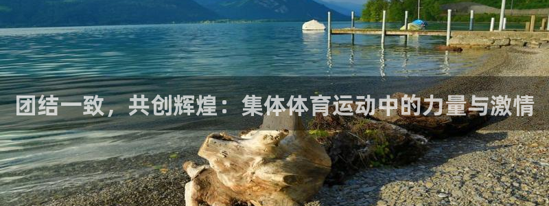尊龙官方正版app娱乐代理怎么样：团结一致，共创辉煌：集体体