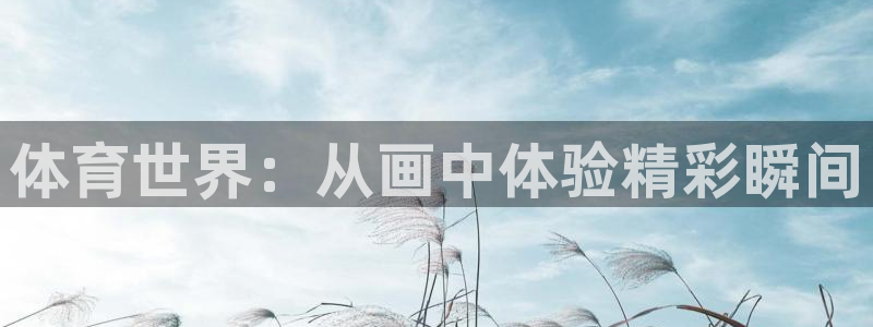 尊龙官网下载招商：体育世界：从画中体验精彩瞬间