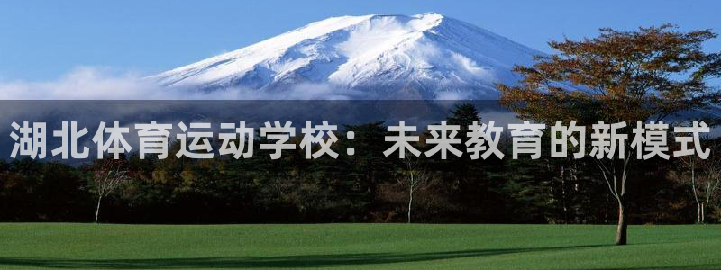 尊龙官方正版app五金厂：湖北体育运动学校：未来教育的新模式