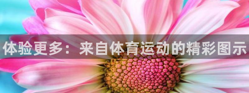 尊龙官网下载平台假的吗是真的吗：体验更多：来自体育运动的精彩