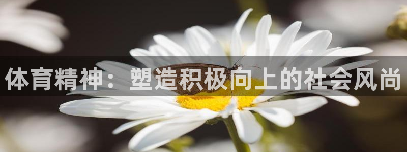 尊龙官网下载招商电话地址是多少