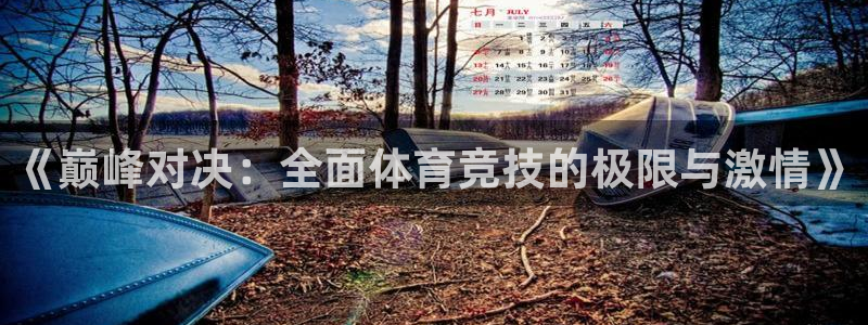 尊龙官网下载平台假的吗是真的吗：《巅峰对决：全面体育竞技的极