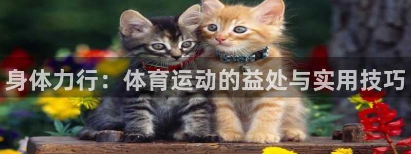 尊龙官方正版app开户：身体力行：体育运动的益处与实用技巧