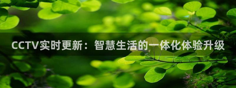黑白nba直播在线直播：CCTV实时更新：智慧生活的一体化体验升级