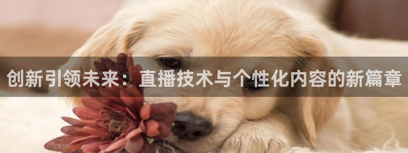 黑白体育nba直播：创新引领未来：直播技术与个性化内容的新篇章