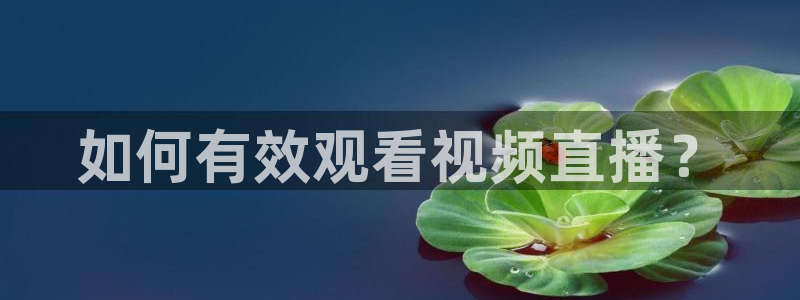 黑白体育nba直播