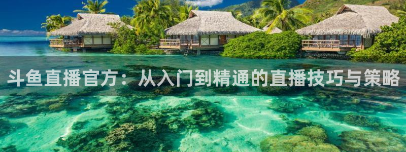 jrs黑白直播体育：斗鱼直播官方：从入门到精通的直播技巧与策略