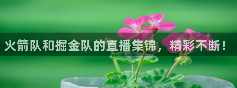 黑白体育直播在线看：火箭队和掘金队的直播集锦，精彩不断！