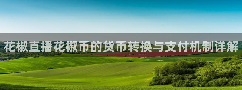 黑白体育直播赛事：花椒直播花椒币的货币转换与支付机制详解